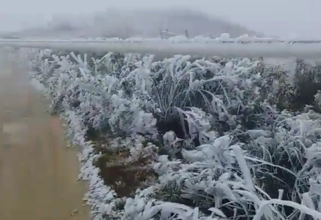 Las bajas temperaturas dejan campos helados en Vallegrande
