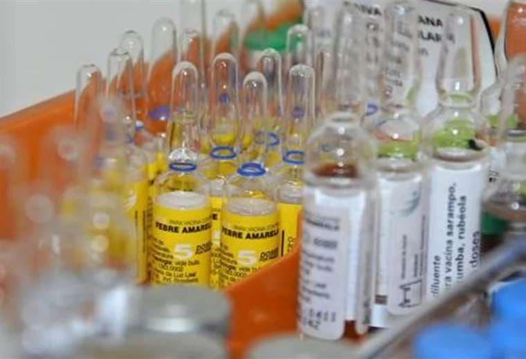 La OMS recomienda la vacuna para prevenir la fiebre amarilla
