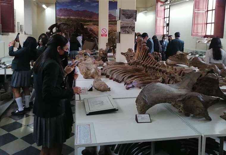 Restos fósiles de mamíferos gigantes que se exponen en el Museo Nacional de Paleontología 