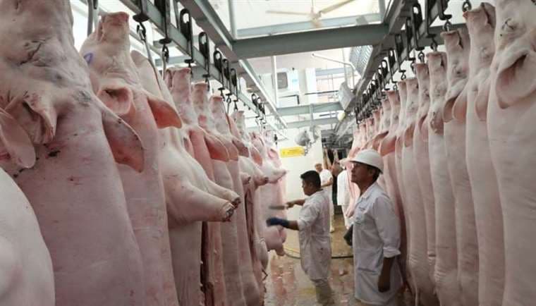 Adepor revela que desde noviembre no recibe maíz de Emapa y advierte posible escasez de carne de cerdo
