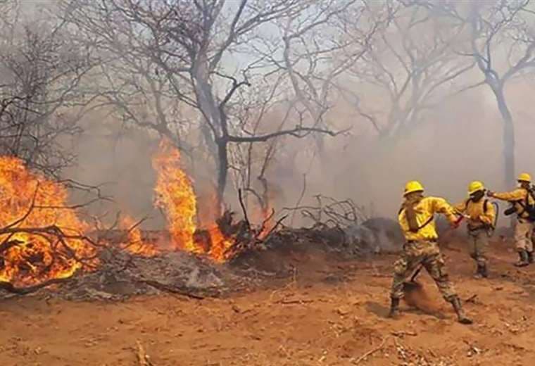 Incendios forestales en Santa Cruz mantiene en alerta a Gobernación. Archivo