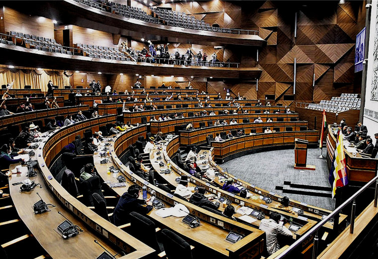 Asamblea Legislativa Plurinacional de Bolivia. Foto. APG 