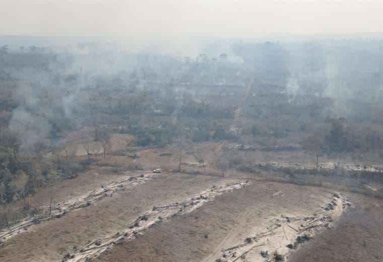 Bomberos de la Gobernación sofocan incendio forestal en Concepción