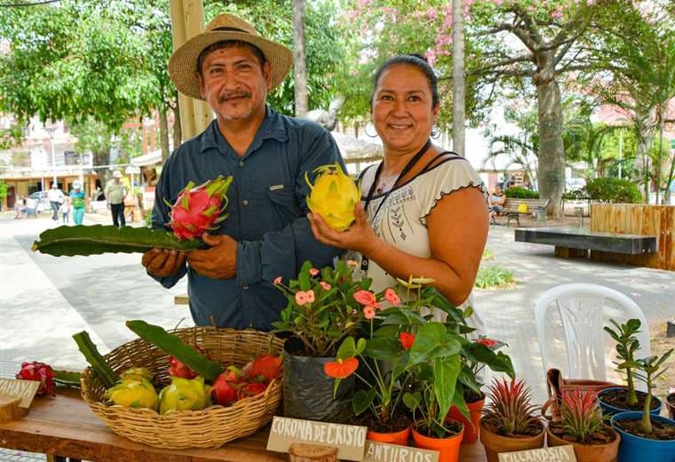 Max Toranzos ofrece las coloridas y frescas pitajayas