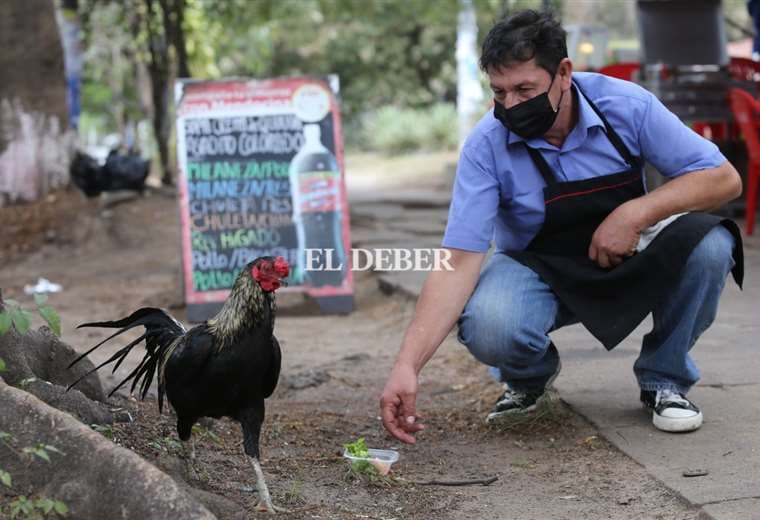 Jesús Aguilera alimenta a diario a Martín / Foto: Ricardo Montero