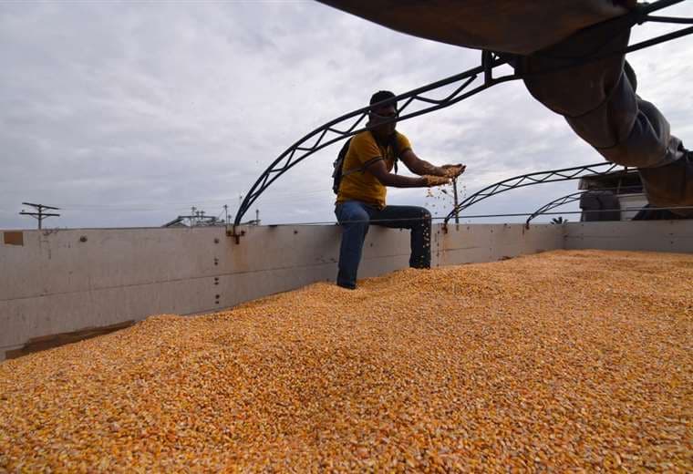 El maíz acopiado por Emapa llegó desde Yacuiba/Foto: Zona Norte