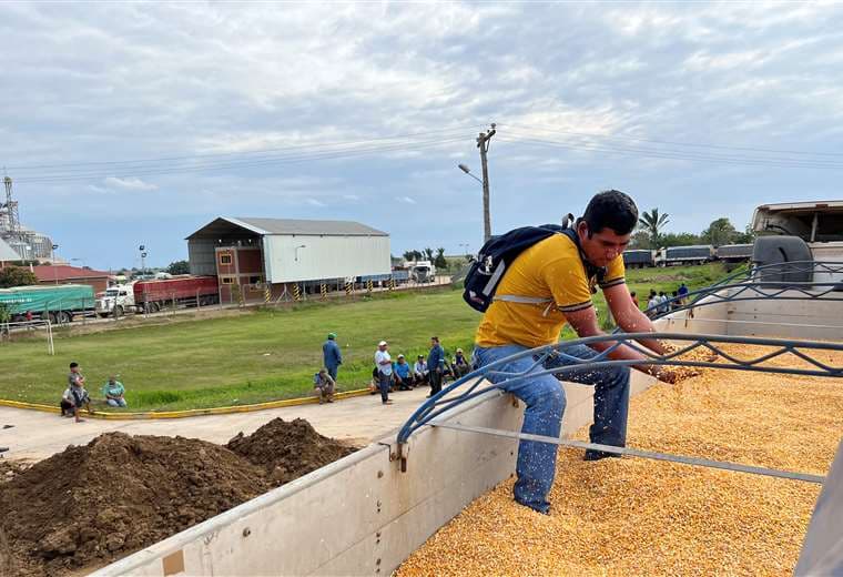 Los productores de San Pedro denunciaron el ingreso de maíz transgénico/Foto: Zona Norte 