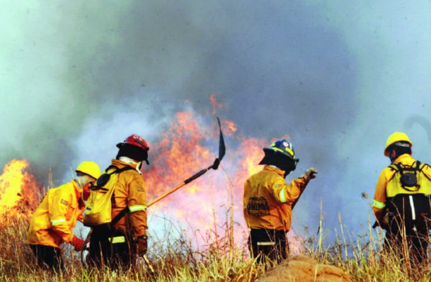 Cinco emergencias movilizan a los bomberos forestales Foto Archivo