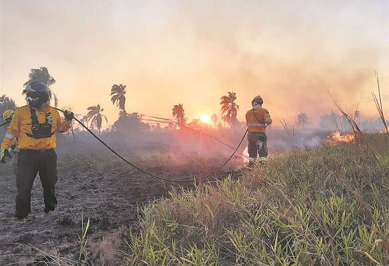 Más de 100 personas se movilizaron para apagar un incendio en una área protegida nacional / Foto: GADSC