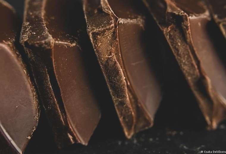 Chocolate sin cacao: empresa de Alemania comienza la producción