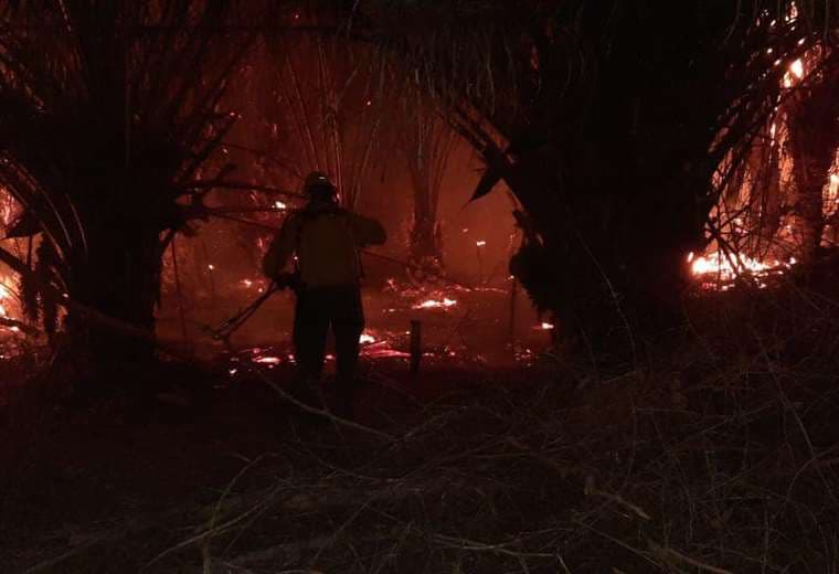Trabajos de mitigación en el incendio forestal en Roboré/Foto: GADSCZ