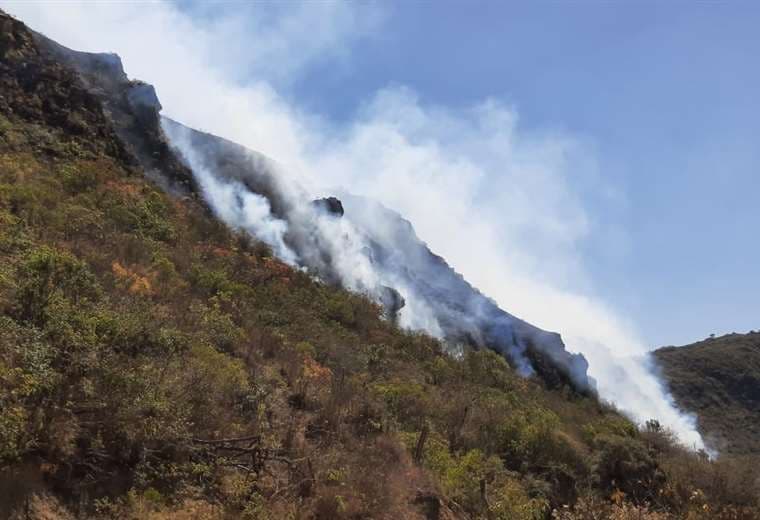 Incendio en El Estanque municipio de El Trigal