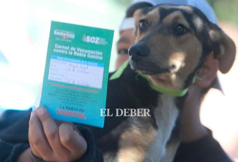 Campaña contra la rabia: pretende vacunar al 85% de 900 mil mascotas en el departamento cruceño