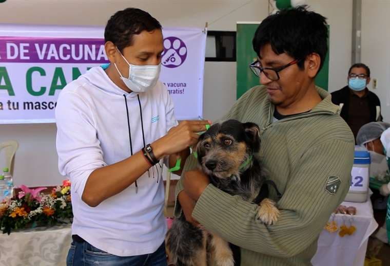 Vacunación a mascotas contra el mal de Rabia/Foto: Gobernación de Santa Cruz