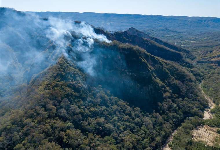 Incendio forestal en El Torno es uno de los más graves, según la Gobernación/Foto: GADSCZ