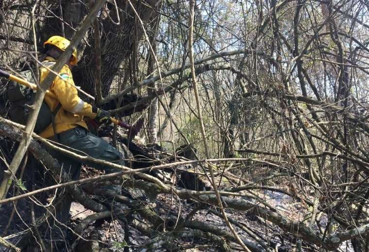 Bomberos forestales trabajan para controlar y apagar incendios en las provincias/GADSCZ