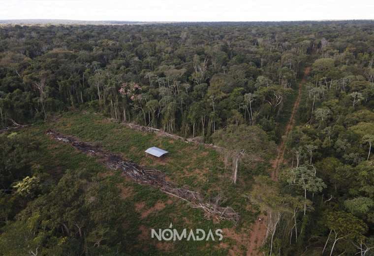 Las heridas de la deforestación muestran el daño al bosque del Bajo Paraguá/R. Nómadas
