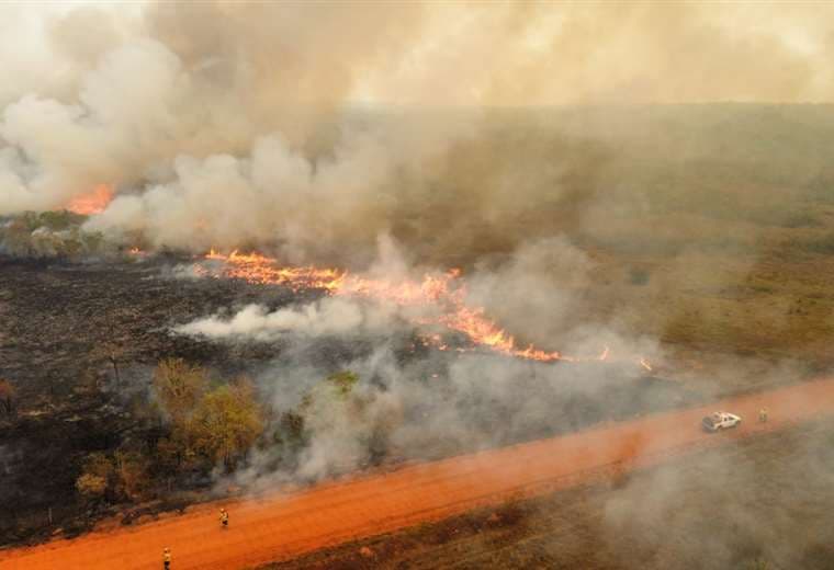 14 incendios forestales afectan el departamento/GADSCZ