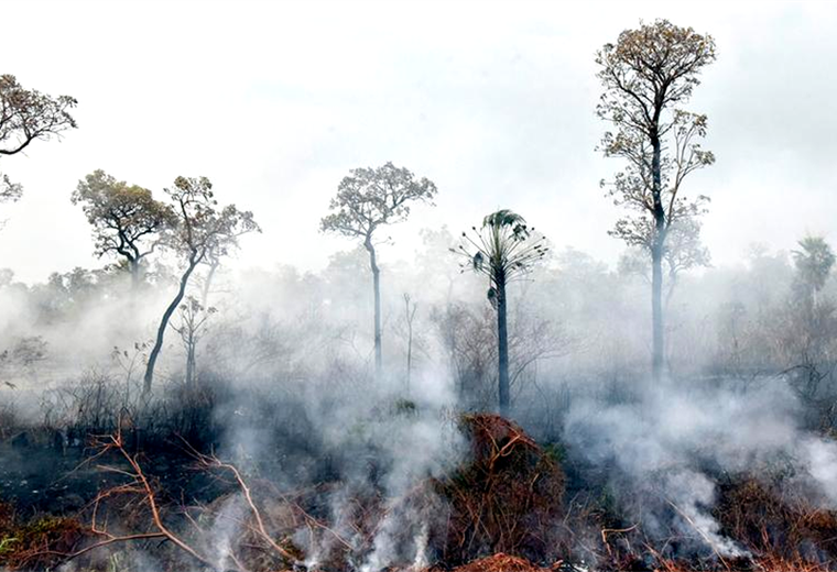Cada año se queman miles de hectáreas en la amazonia brasileña 
