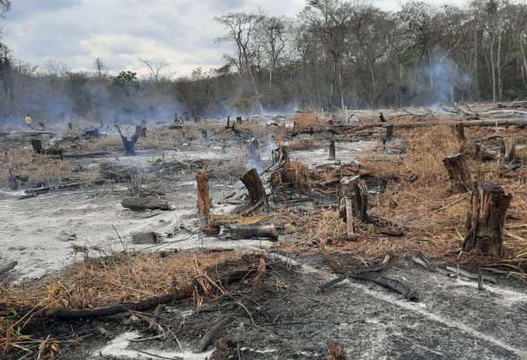 Continúan los incendios forestales en cinco municipios cruceños
