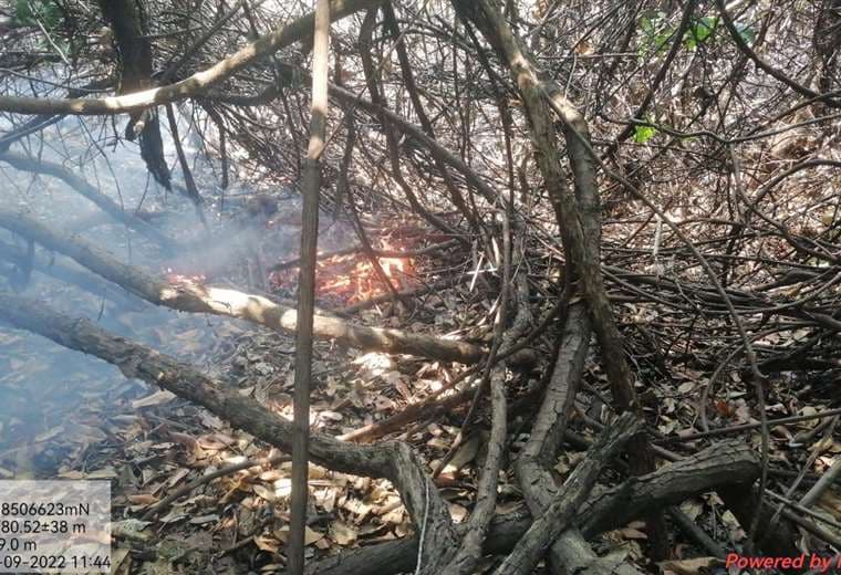 Los incendios afectan el bosque seco del parque Noel Kempff Mercado
