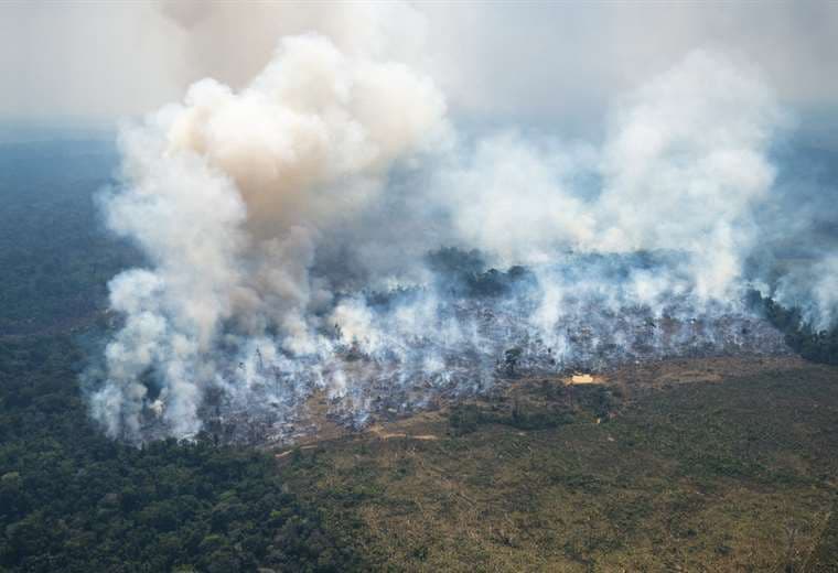 Amazonía en alertan por la explotación maderera, minera y los incendios