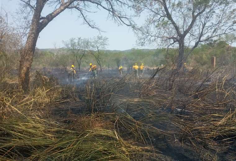 Bomberos forestales sofocan fuego en diez municipios cruceños/GADSCZ
