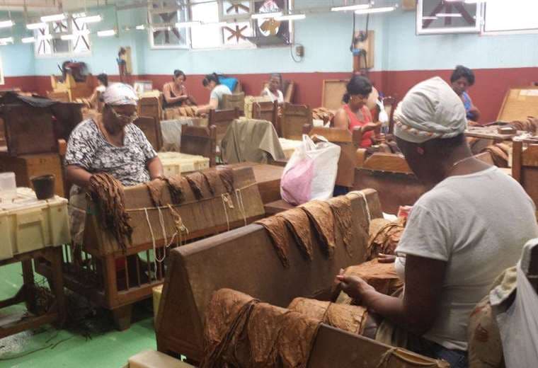 Fábrica de tabaco en Cuba. Foto referencial