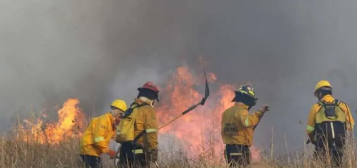 Bomberos forestales trabajan en la extinción de incendios. ARCHIVO