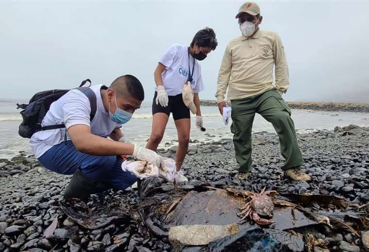 Restos de petróleo de Repsol siguen en playas tras un año de derrame en Perú