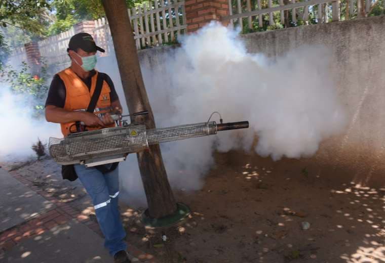 Las brigadas realizan mingas de destrucción de criaderos de mosquitos Foto: Alcaldía 