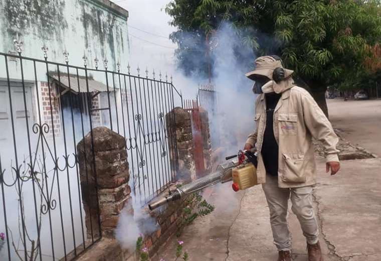 Fumigación contra el mosquito en Bermejo