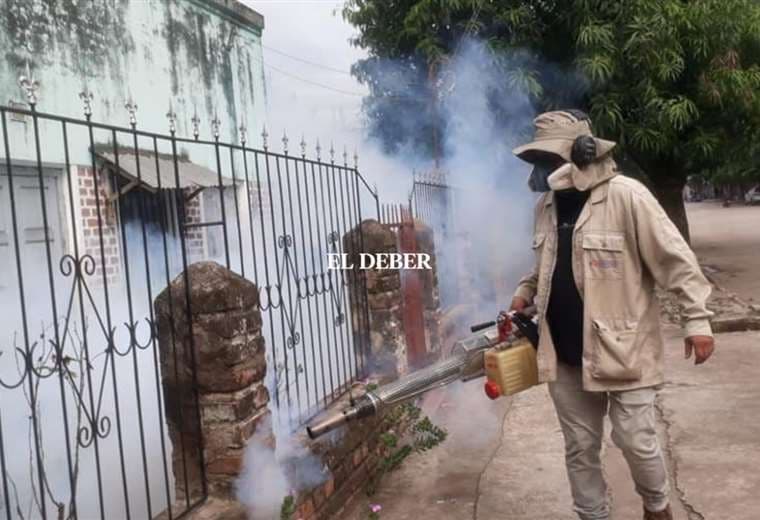 Se intensifica la fumigación en el municipio / Foto: David Maygua