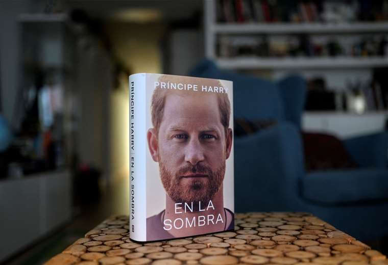 "En la sombra", libro del príncipe Enrique/Foto: AFP