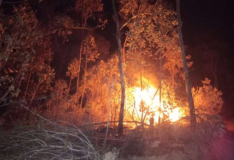 104.524 hectáreas han sido afectadas por incendios forestales/ Foto: Gobernación cruceña