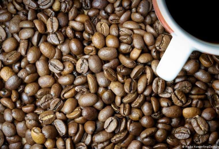 Empresa lanza café sin grano en busca de producción sustentable