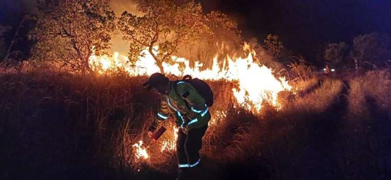 Incendios forestales en Santa Cruz/ Foto: Gobernación