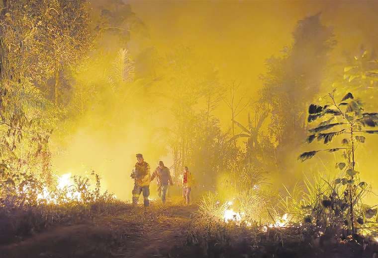 ABT confirma que más de tres millones de hectáreas se quemaron en el país; Beni y Santa Cruz los más afectados