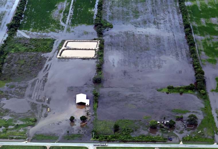 Inundación y sequía dañan 43.000 hectáreas de cultivo en Santa Cruz