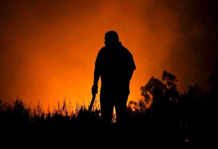 Por qué los incendios en Chile están siendo los más destructivos de los últimos años