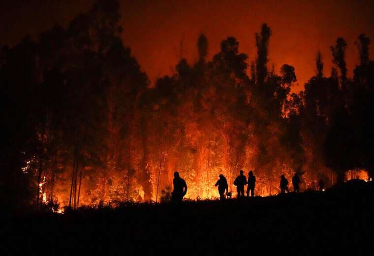 Chile sigue su combate contra las llamas con ayuda internacional