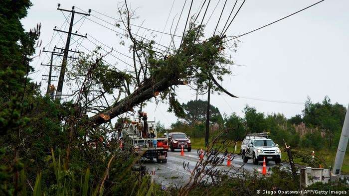 Árboles caídos sobre el tendido eléctrico dejó el paso del ciclón Gabrielle 