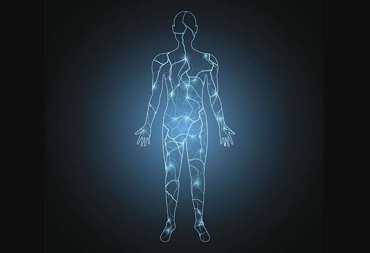  Qué es el "electroma", la red bioeléctrica del cuerpo humano que los científicos apenas comienzan a investigar           
