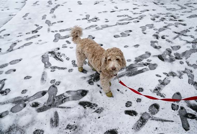 Nieve en Nueva York/ Foto: AFP
