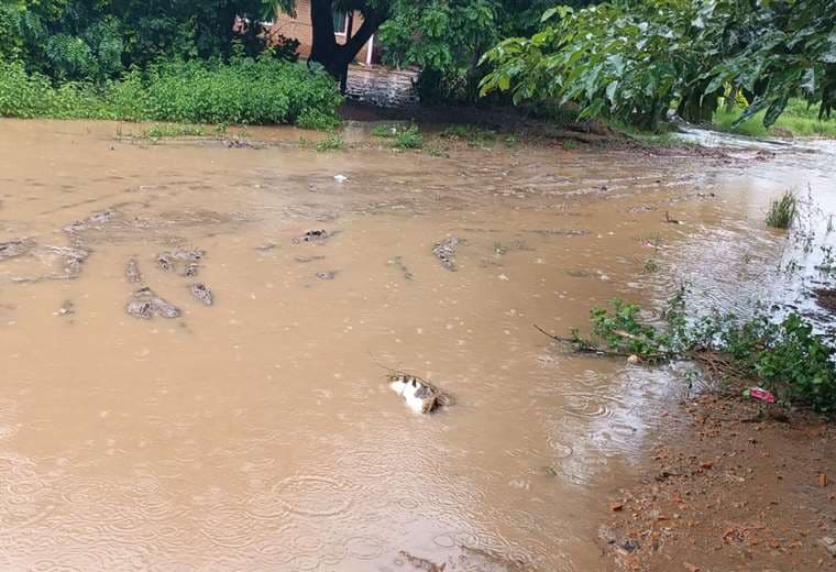 En Pailón llovió de forma persistente