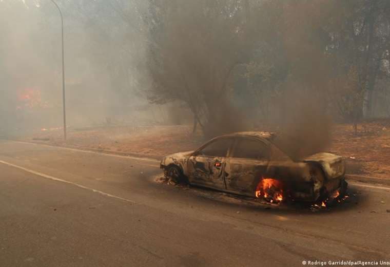 Estado de catástrofe en centro y sur de Chile por incendios forestales