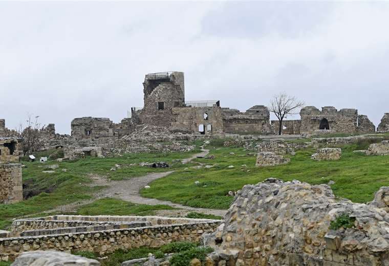 Ciudadela de Alepo y otros sitios arqueológicos sirios dañados por el sismo