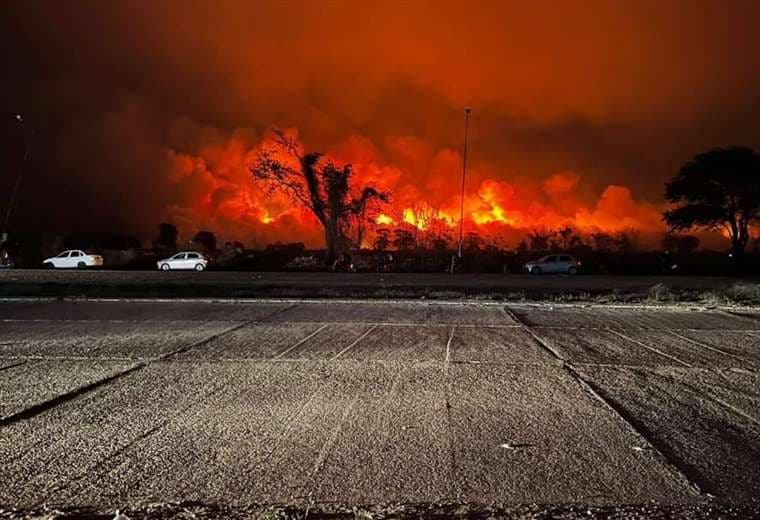 Incendios en Argentina/ Foto: Infobae