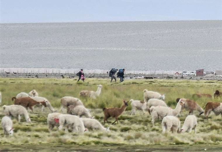 La llanura altiplánica es utilizada por los traficantes para trasladar migrantes a Chile