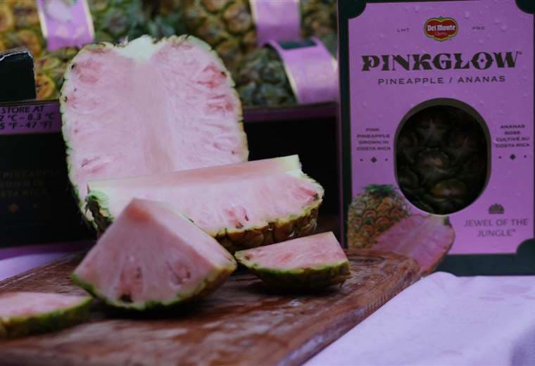 La piña rosa, un manjar exclusivo de Costa Rica para el mundo